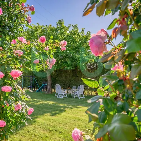 Sea & Olive Estate Σπίτι διακοπών *