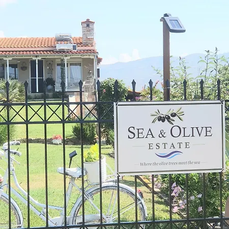 Sea & Olive Estate * Dikella