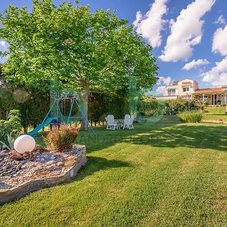 Sea & Olive Estate *